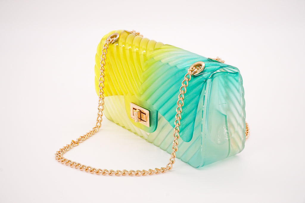 Multi Color Jelly Handbags